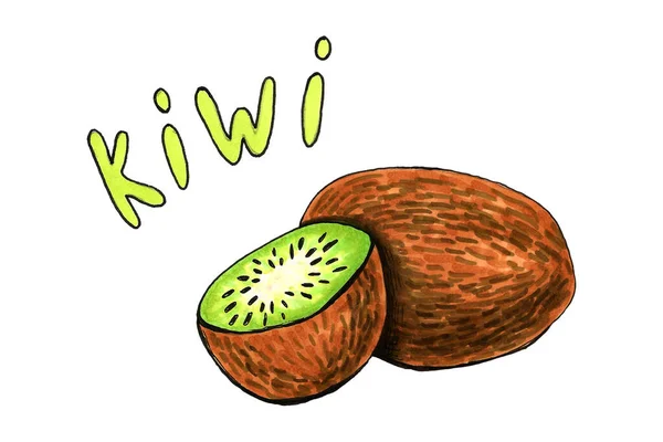 Ilustração Desenhada Mão Kiwi Desenho Frutas Isolado Fundo Branco Frutas — Fotografia de Stock
