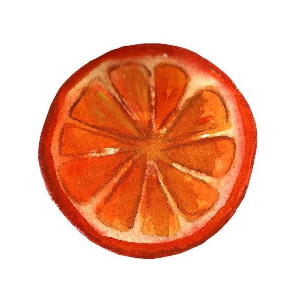 Hand drawn illustration of orange segment — Stock Photo, Image