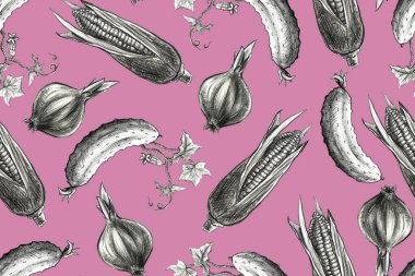 Sebzelerin el çizimi kalem çizimi