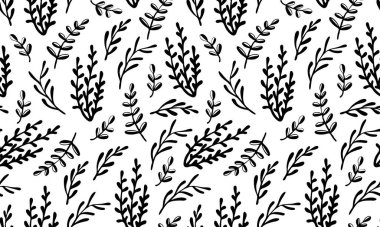 Hipoterb 'in kusursuz şablonu