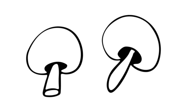 Ilustração do doodle vetorial de cogumelos champignon — Vetor de Stock