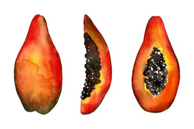 Patinin el çizimi çizimi