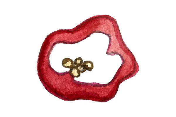 Τσίλι πιπέρι φέτα ακουαρέλα εικονογράφηση — Φωτογραφία Αρχείου