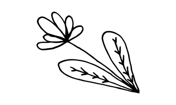 Ilustração de flor rabiscada desenhada à mão — Vetor de Stock