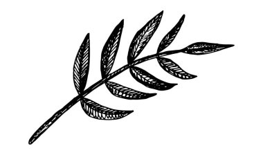 Dallar ve yapraklar ekin.