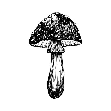 Sonbahar ormanı botanik elementleri