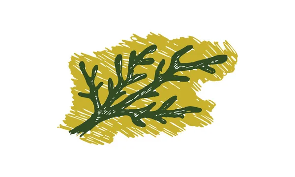 Illustration vectorielle dessinée à la main d'herbes — Image vectorielle