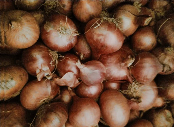 Veel Uien Goede Groenten Die Ons Lichaam Ten Goede Komen — Stockfoto