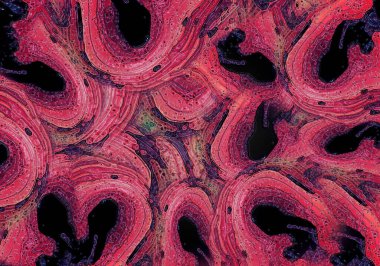 Soyut Renkli Arkaplan Tasarımı. Dinamik şekil şablonu, tebrik kartı geçmişi. Kırmızı arkaplan