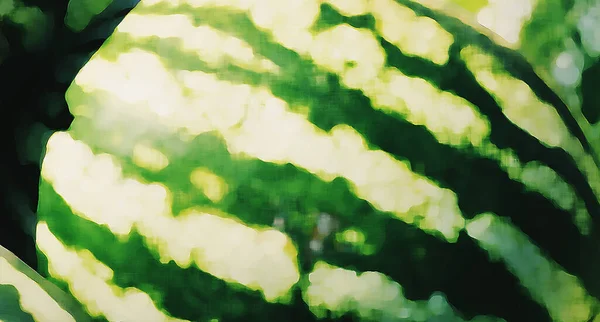 Frukt Mönster Bakgrund Grön Vattenmelonbild — Stockfoto
