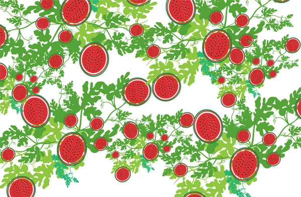 Görögdinnye Zöld Levelek Illusztráció Design Nyári Élelmiszer Koncepció Illusztráció Elszigetelt — Stock Vector