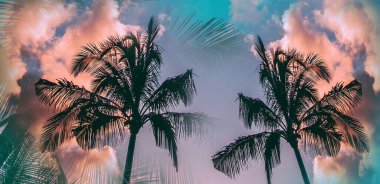 Günbatımında renkli Bokeh güneş ışığına sahip tropik palmiye ağacı soyut arkaplanı bulutlandırır. Yaz tatili ve doğa yolculuğu macera konsepti. 
