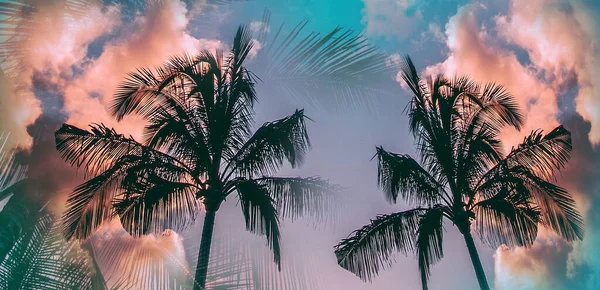 日没の空の雲の抽象的な背景にカラフルなボケの太陽の光熱帯ヤシの木 夏休みと自然旅行アドベンチャーのコンセプト — ストック写真