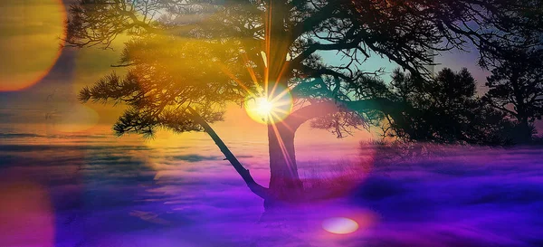 Trópusi Pálmafa Színes Bokeh Napfény Naplemente Égbolt Felhő Elvont Háttér — Stock Fotó