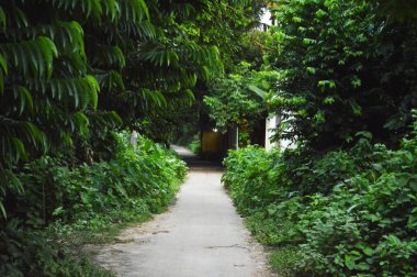 Köy yolu ağaçlarla ve güzel doğayla kaplı. Ortaçağ 'daki eski köyün kırsal yolu..