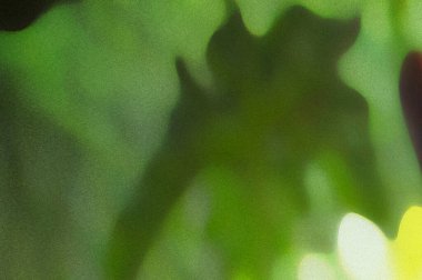 Blurred abstract green nature background with natural light bokeh effects