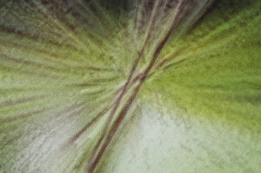 Abstract green motion background design. Texture artistic greeting card design and gift cards. Creative, geometry Background