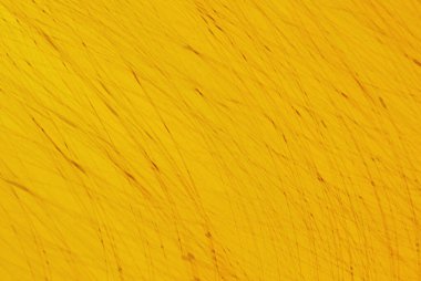 Sarı soyut arka plan. sarı doku arkaplanı