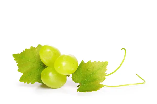在白色背景上分离的绿色葡萄 — 图库照片