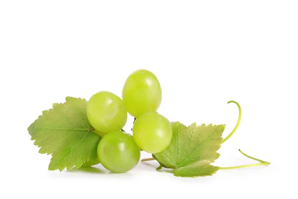 Raisins Verts Isolés Sur Fond Blanc — Photo