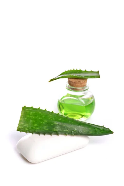 Aloe Vera Κρέμα Περιποίησης Δέρματος Προϊόν Ομορφιάς Απομονωμένο Λευκό Φόντο — Φωτογραφία Αρχείου