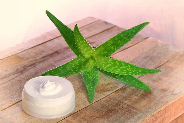 Buaya Aloe Krim Perawatan Kulit Produk Kecantikan — Stok Foto