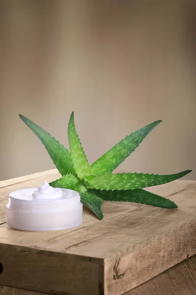 aloe vera, skin care cream, beauty product