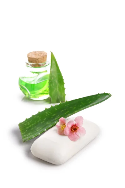 Aloe Vera Crema Para Cuidado Piel Producto Belleza Aislado Sobre —  Fotos de Stock