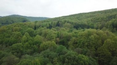 Ukrayna'da Karpat Dağları üzerinde hava araştırması