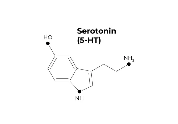 Διανυσματικές ορμόνες μινιμαλιστικό πρότυπο banner. Seratonin (5-HT) δομή μαύρο απομονώνεται σε λευκό φόντο.. Ορμόνη των ευτυχινών αίσθημα, κατάθλιψη. Σχεδιασμός για την επιστήμη, την εκπαίδευση, την παρουσίαση. — Διανυσματικό Αρχείο