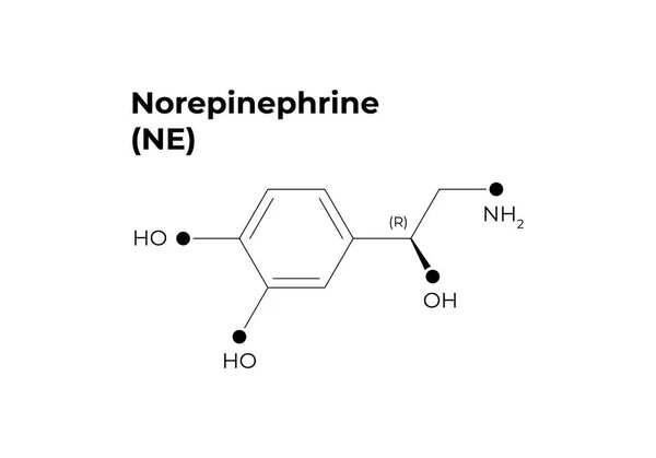 Plantilla de banner minimalista de hormonas vectoriales. Estructura norepinefrina negra aislada sobre fondo blanco. Hormona asosiada con sistema de respuesta suprarrenal. Diseño para ciencia, educación, presentación . — Vector de stock