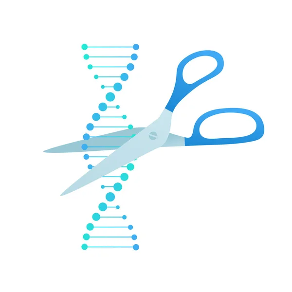 Elementos de design de ciência vetorial. Gradiente azul plano símbolo espiral de DNA e tesoura isolada em branco. Conceito de gmo, modificação genética. Design para banner científico, cartaz, logotipo, infográfico, web — Vetor de Stock