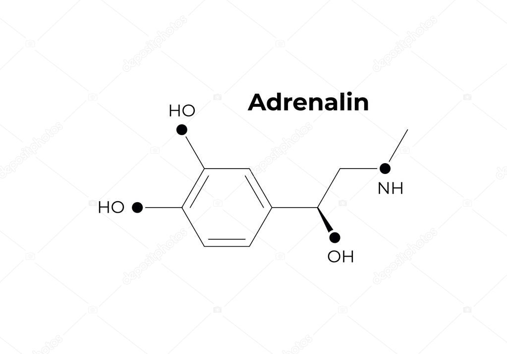 Vector hormones minimalistic banner template. Adrenalin structure black isolated on white background. Hormone assosiated with adrenal response system. Design for science, education, presentation.