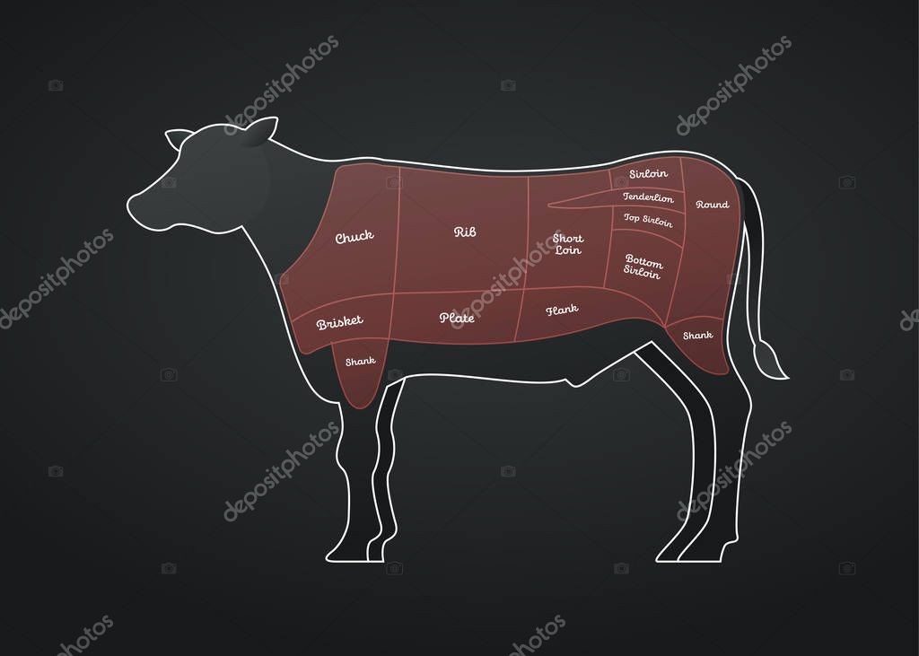 Vector Beef Steak Diagram Poster American Meat Cutting White Modern Style Cow Silhouette With Markup Red Color Zone Highlighting And Text Design For Cafe Menu Decoration Butcher Diagram Poster Premium Vector