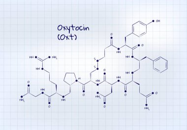 Vektör hormonları çalışma afiş şablonu. Kalem kare not defteri arka plan üzerinde oksitosin yapısı çizilmiş. Hormon bağ, bağımlılık, ağrı, anksiyete ile ilişkili. Eğitim için tasarım, sunum