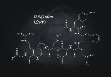 Vektör hormonları çalışma afiş şablonu. Kara tahta arka planda tebeşir çizilmiş oksitosin yapısı. Hormon bağ, bağımlılık, ağrı, anksiyete ile ilişkili. Eğitim için tasarım, sunum.