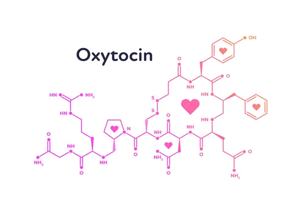 Plantilla de banner de hormonas vectoriales. Estructura de oxitocina de color rosa con símbolo del corazón aislado sobre fondo blanco. Hormona assosiated con vínculo, cuidado, amor. Diseño de póster, educación, presentación — Vector de stock