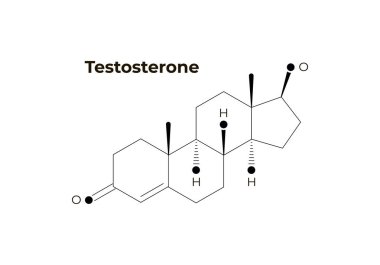 Vektör hormonlar minimalist afiş şablonu. Testosteron yapısı beyaz arka plan üzerinde izole. Saldırganlık, seks, büyüme, üreme ile ilişkili. Eğitim için tasarım, sunum, poster.