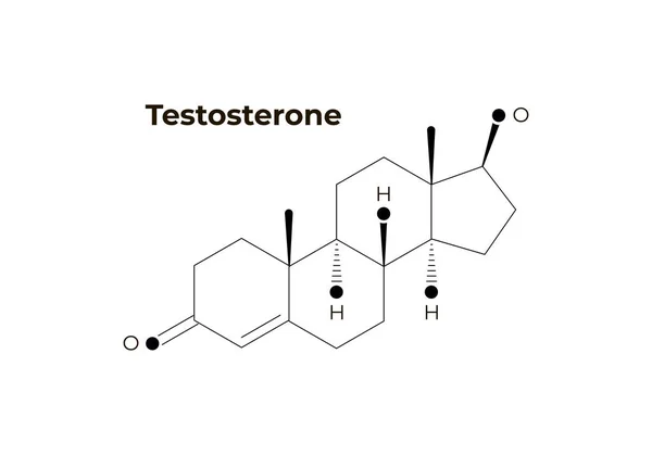 Vector hormonen minimalistische banner sjabloon. Testosteron structuur geïsoleerd op witte achtergrond. Geassocieerd met agressie, seks, groei, reproductie. Ontwerp voor onderwijs, presentatie, poster. — Stockvector