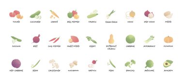 Vektör renk taze sebze seti. Beyaz arka plan üzerinde izole metin ile Modern tarz düz coloful illüstrasyon. Afiş, poster, web, vegeterian, yaz, menü, vitaminler için tasarım öğeleri