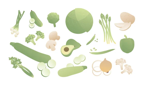 Vektorfarbe grünes Gemüse eingestellt. moderner Stil flache bunte Illustration Gemüse mit Scheiben isoliert auf weißem Hintergrund. Designelemente für Banner, Poster, Web, Vegetarier, Sommer, Speisekarte, Vitamin — Stockvektor