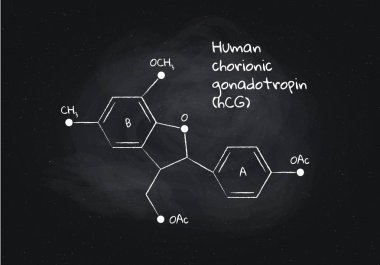 Vektör HCG yapı Banner illüstrasyon. Gebelik testi olarak ilişkili hormon. Beyaz tebeşir hatları tahta arka planda izole. İlaç, eğitim, Medikal için tasarım elemanı.
