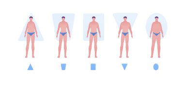 Male body type shape concept. Vector flat people illustration set. Collection of man character in swimsuit underwear isolated on white. Design element for banner, inforgraphic, web. clipart
