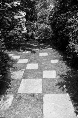 Ormanda siyah ve beyaz damalı bahçe yolu