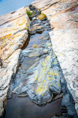 Acadia Milli Parkı'ndaki Schoodic Point'te siyah müdahaleci igneous bazalt dike kaya
