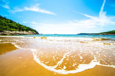 Sand Beach, Acadia Ulusal Parkı, Maine, Amerika Birleşik Devletleri