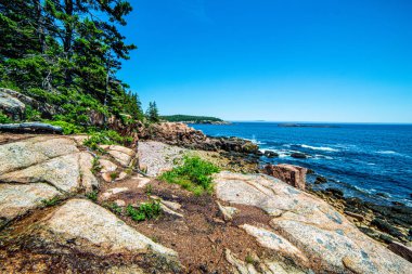  Acadia Ulusal Parkı'nda su boyunca kayalıklardan okyanus manzarası, Maine, ABD