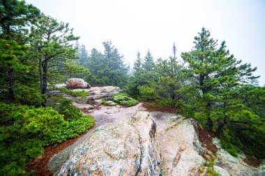 Acadia Ulusal Parkı, Maine granit kayalar boyunca yürüyüş yolu