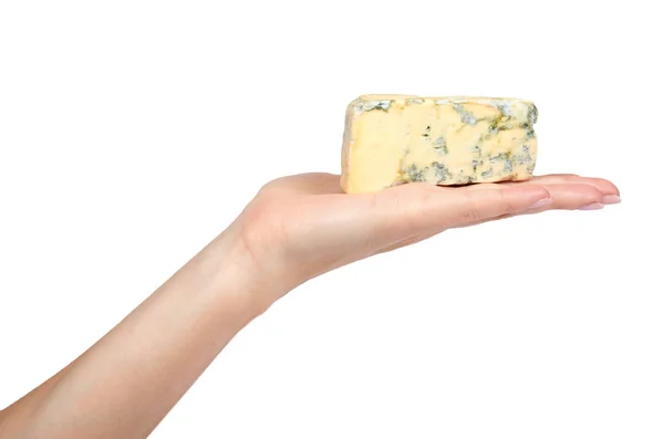带手的乳白色蓝乳酪 在白色背景下被隔绝 — 图库照片