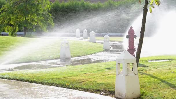 Automatic sprinkler system watering green grass lawn — Stock Video
